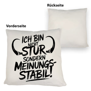 Ich bin nicht stur sondern meinungsstabil Kissen