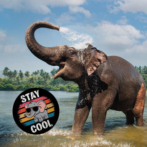 Elefant mit Sonnenbrille - Stay Cool Magnet