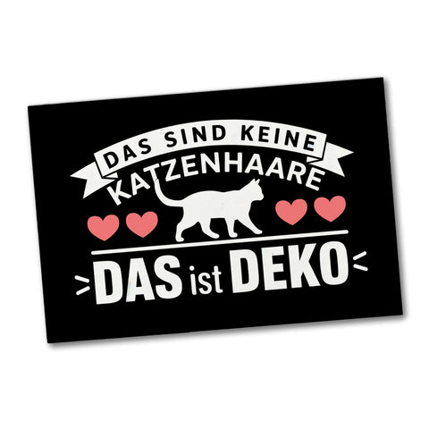 Keine Katzenhaare nur Deko Katzen Souvenir Magnet