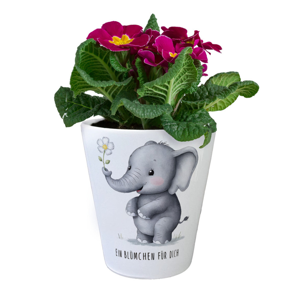 Grauer Elefant - Blümchen für dich Blumentopf