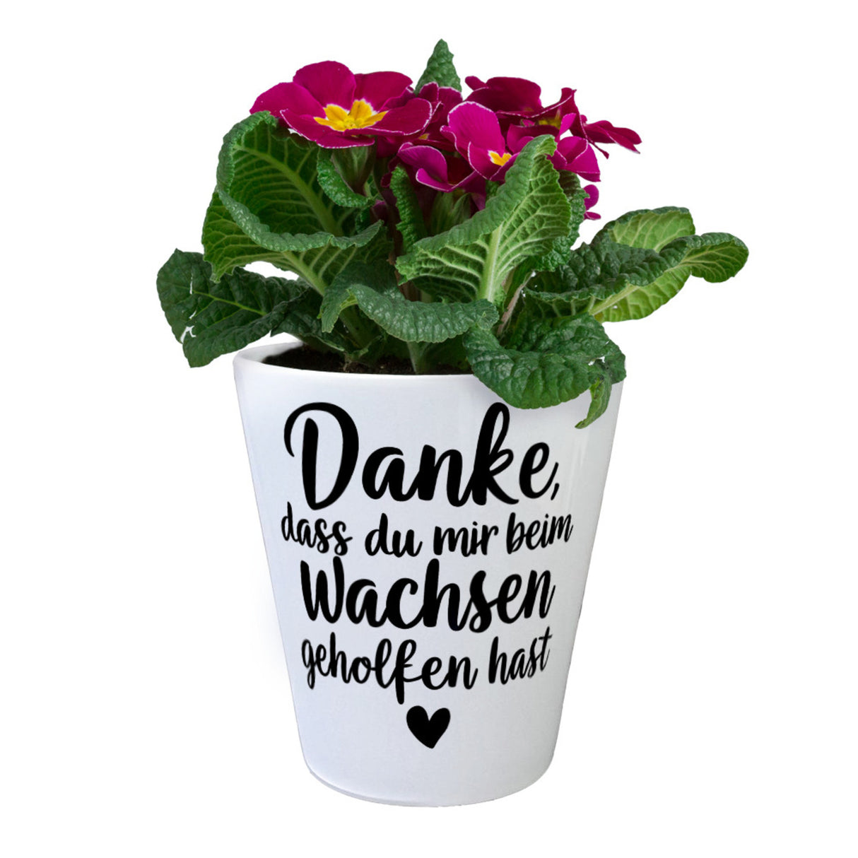 Dankeschön Blumentopf mit Herz und Spruch