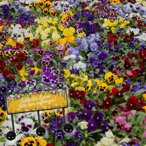 Blumen Kleiderhaken Leiste mit 3 Haken - Schlechte Laune hier aufhängen