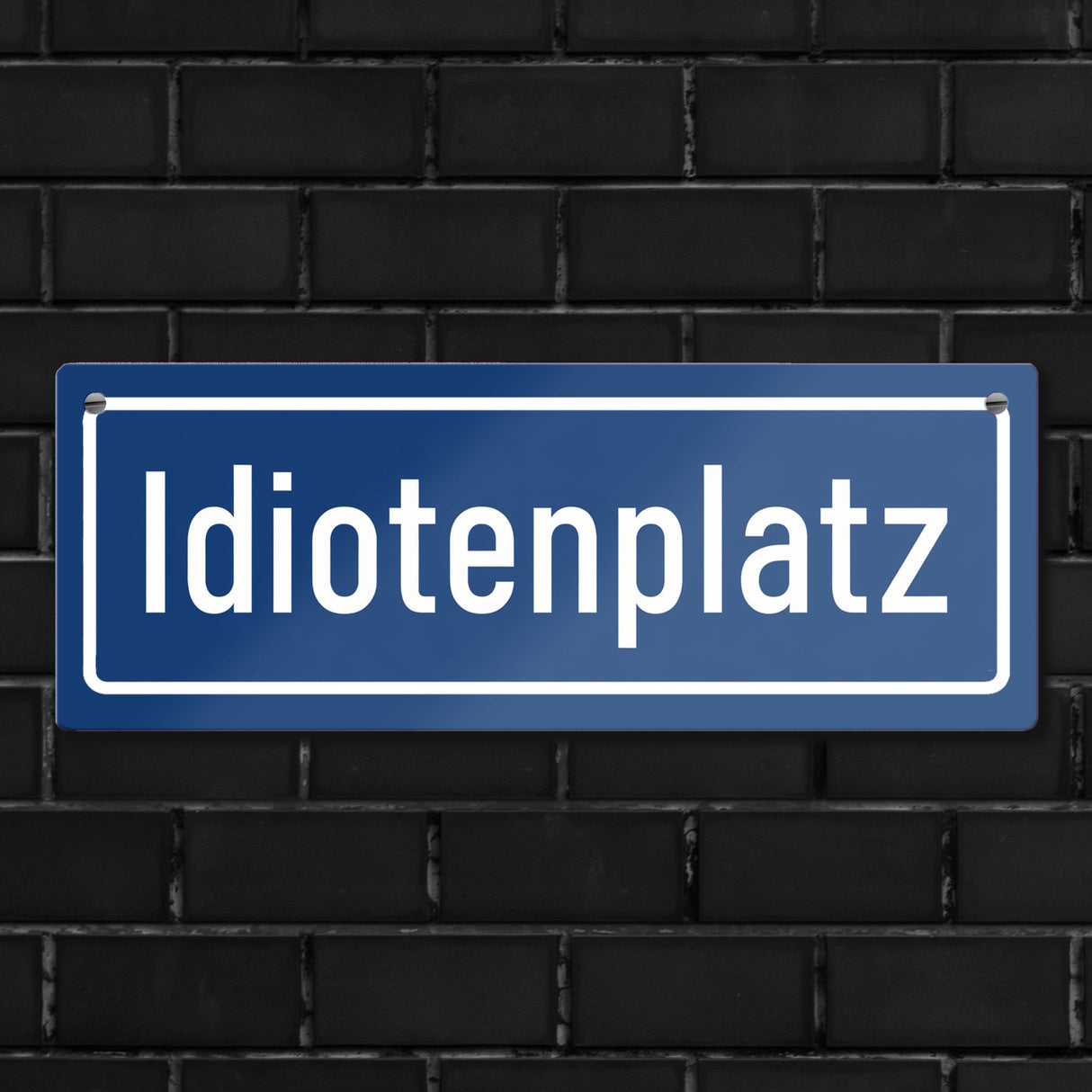 Idiotenplatz Dekoration Metallschild