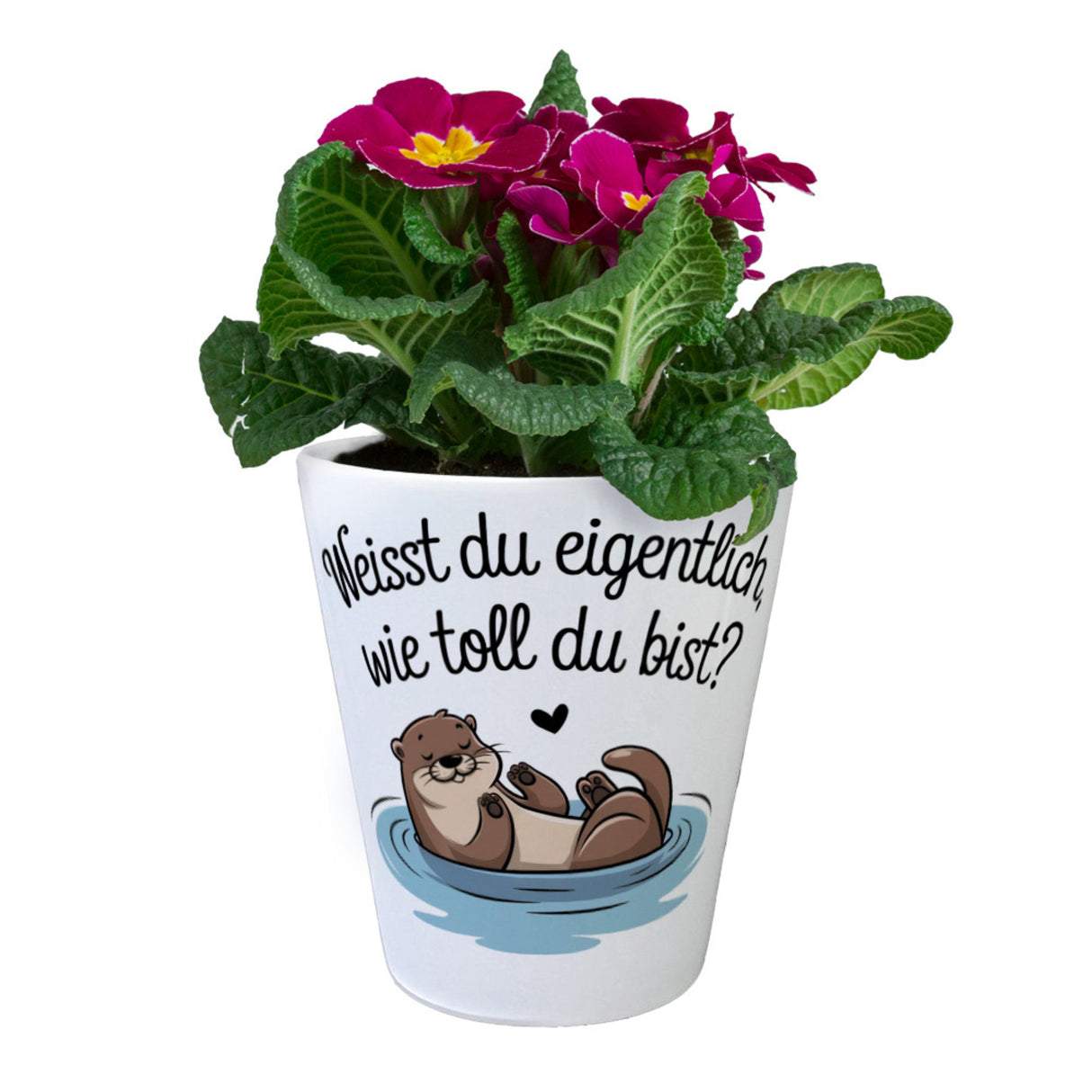 Weisst du eigentlich, wie toll du bist? Blumentopf mit Otter