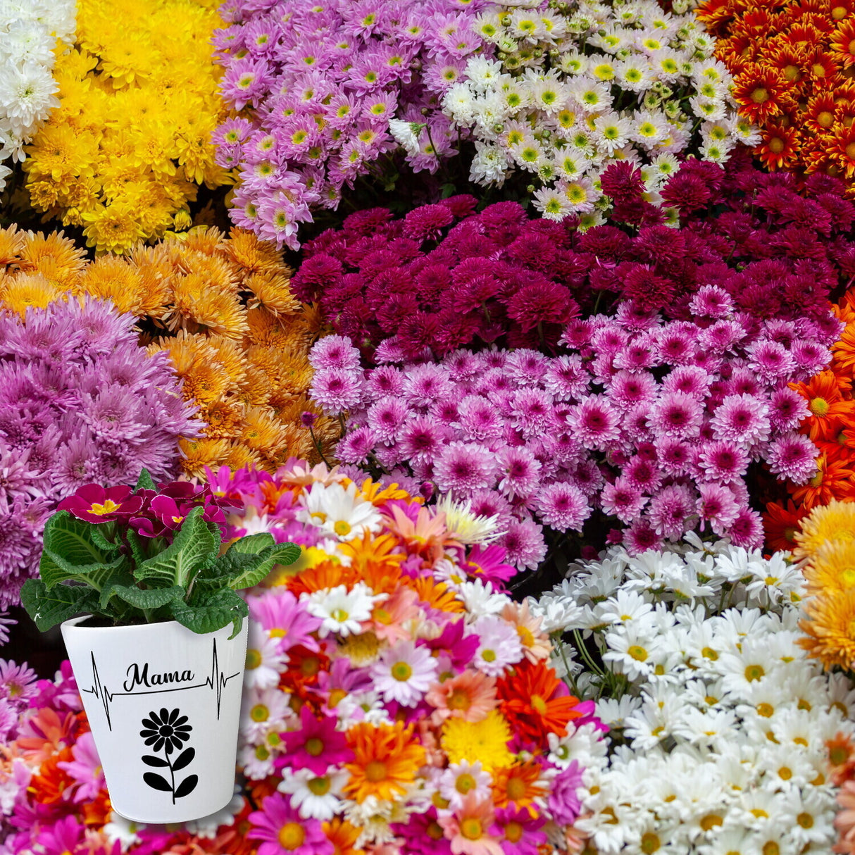 Mama Herzschlag mit Blume Blumentopf für Mütter