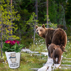 Ich habe vertrauen und glaube an mich Bär mit Herz Blumentopf