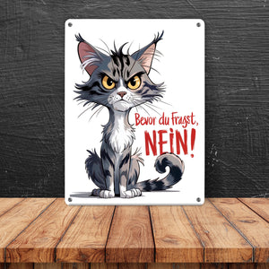 Grimmige Katze Metallschild in 15x20 cm mit Spruch Bevor du fragst: NEIN!