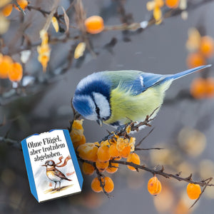 Vogel mit Fliegerbrille Abgehoben Parkscheibe