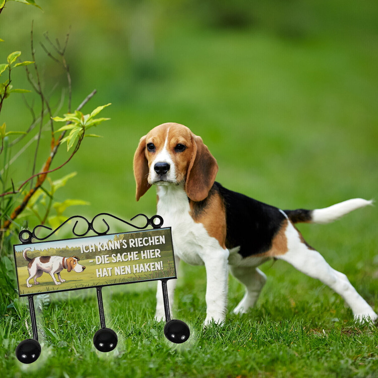 Hund Kleiderhaken Leiste mit 3 Haken - die Sache hat nen Haken