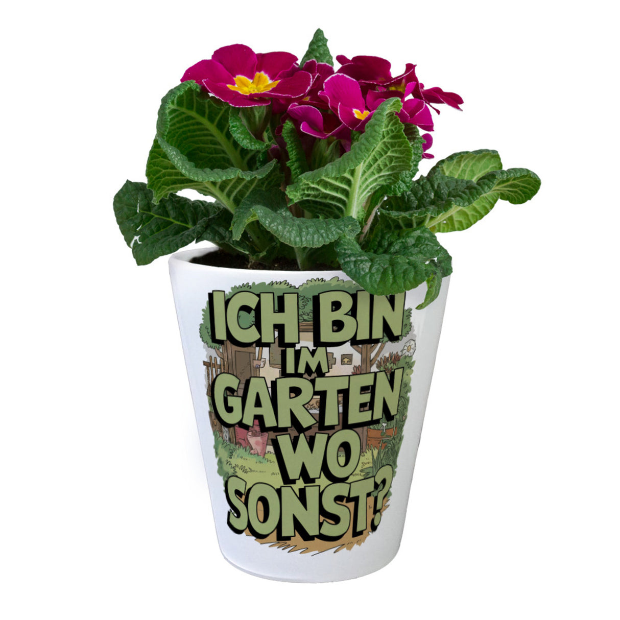 Im Garten, wo sonst? Blumentopf Gartenszene