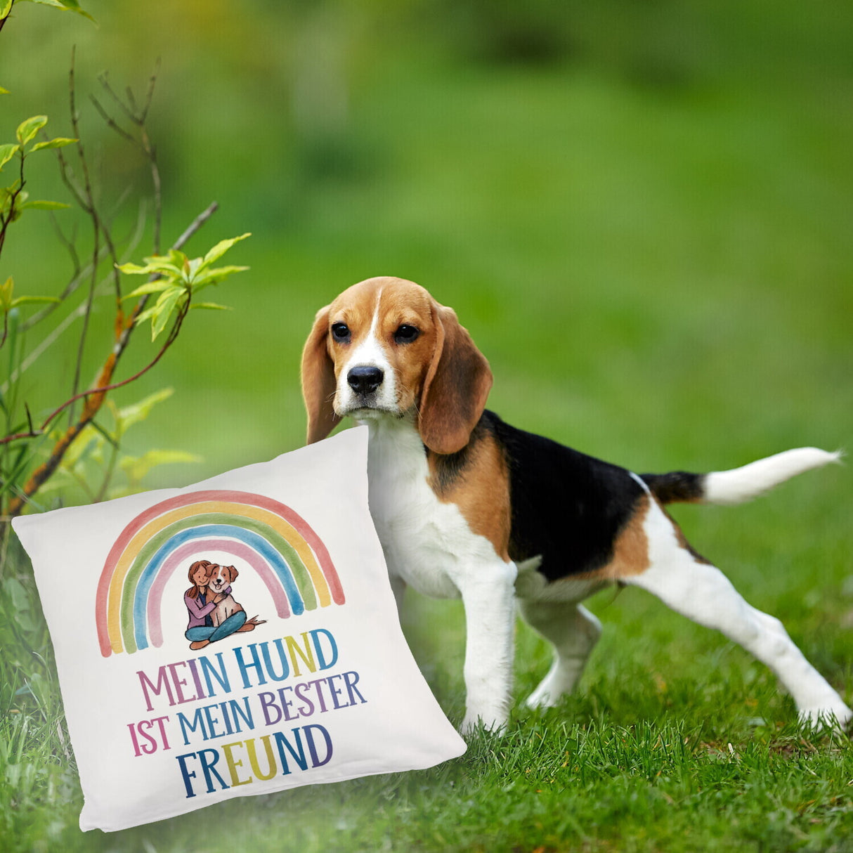 Hund ist bester Freund Kissen Frau umarmt Hund unter Regenbogen