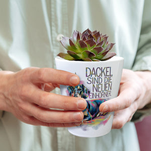 Dackel sind die neuen Einhörner Blumentopf