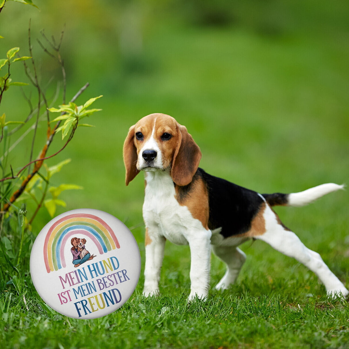 Bester Freund Magnet - Frau umarmt Hund unter Regenbogen