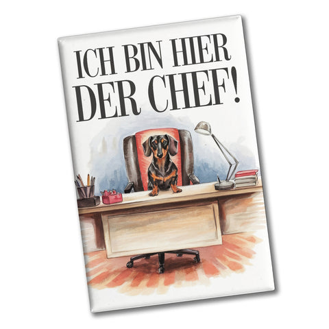 Hier ist der Dackel der Chef Souvenir Souvenir Magnet - Dackel auf Bürostuhl