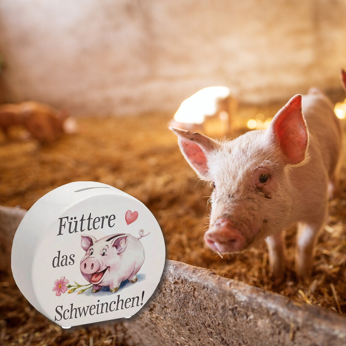 Fröhliches Schwein Spardose Füttere das Schweinchen