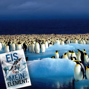 Eis ist mein Element Souvenir Souvenir Magnet - Pinguin im Eis