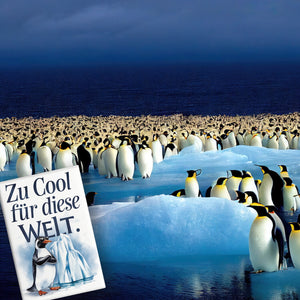 Zu cool für die Welt Souvenir Souvenir Magnet - Pinguin mit Sonnenbrille