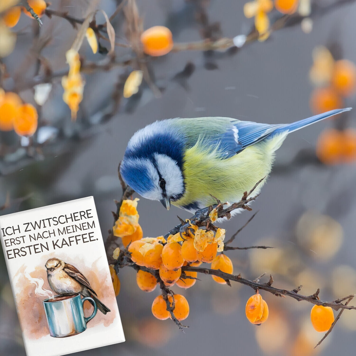 Erst Kaffee, dann Zwitschern Souvenir Souvenir Magnet - Vogel auf Kaffeetasse