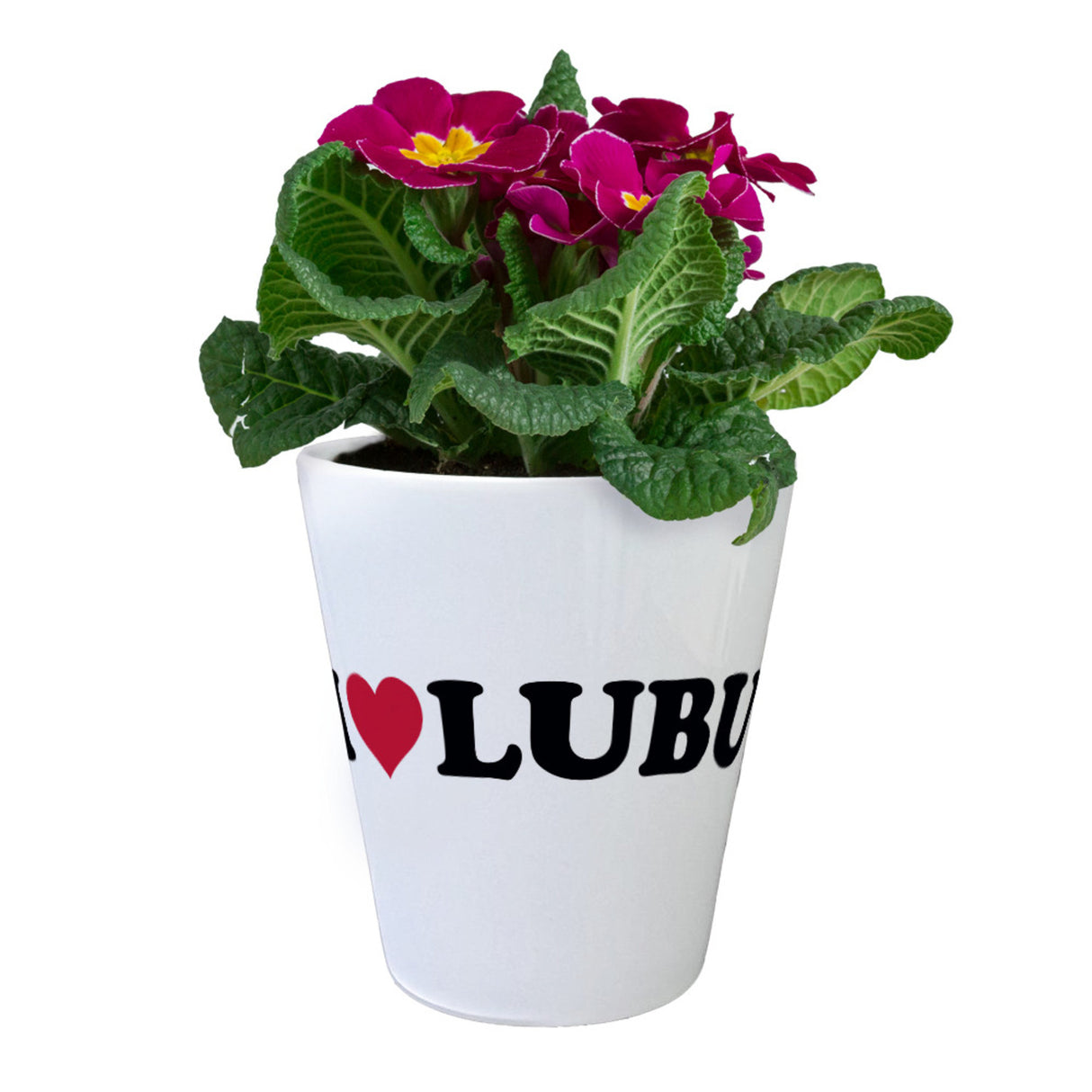 Ludwigsburg Blumentopf - I Love LUBU