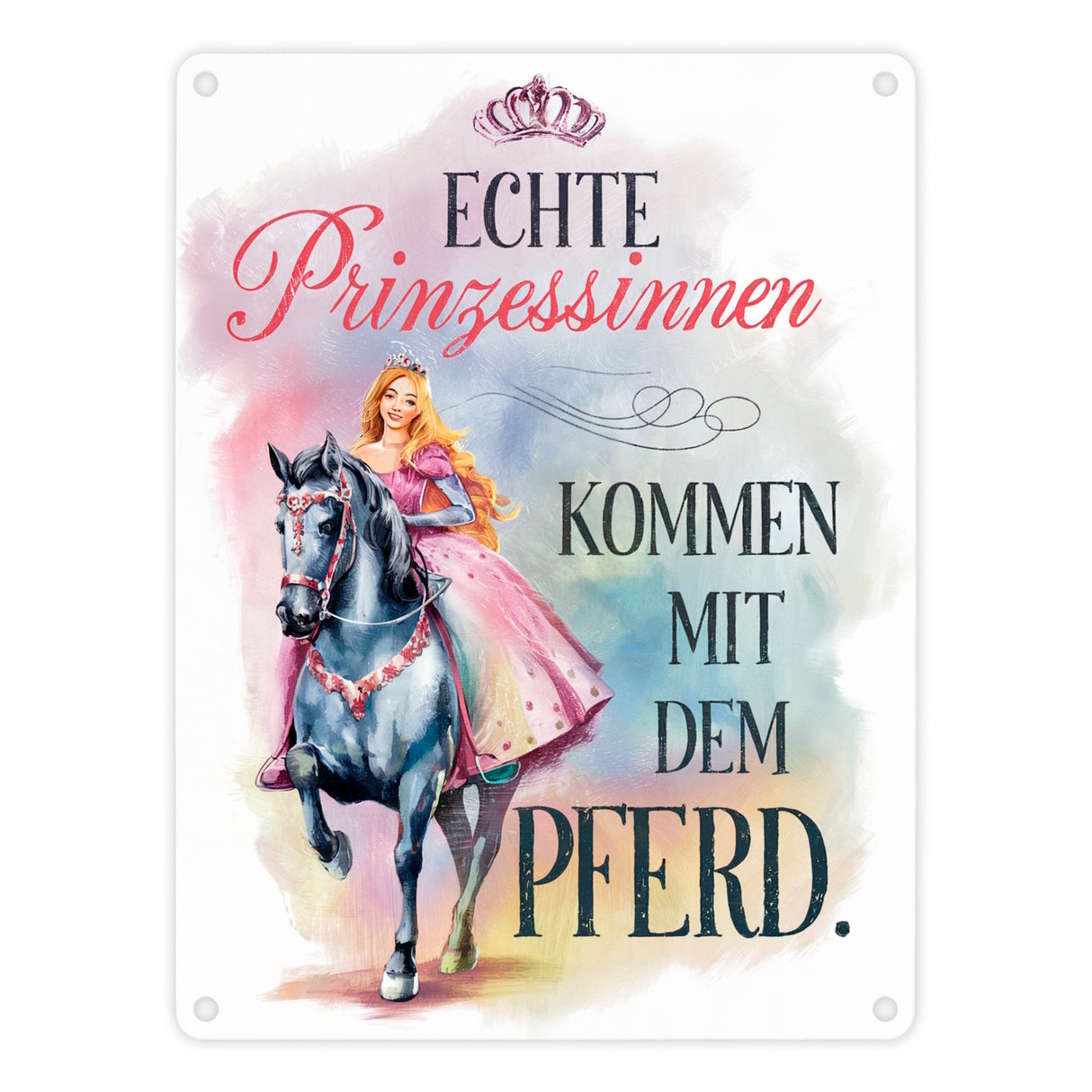 Echte Prinzessinnen reiten Pferde Metallschild in 15x20 cm