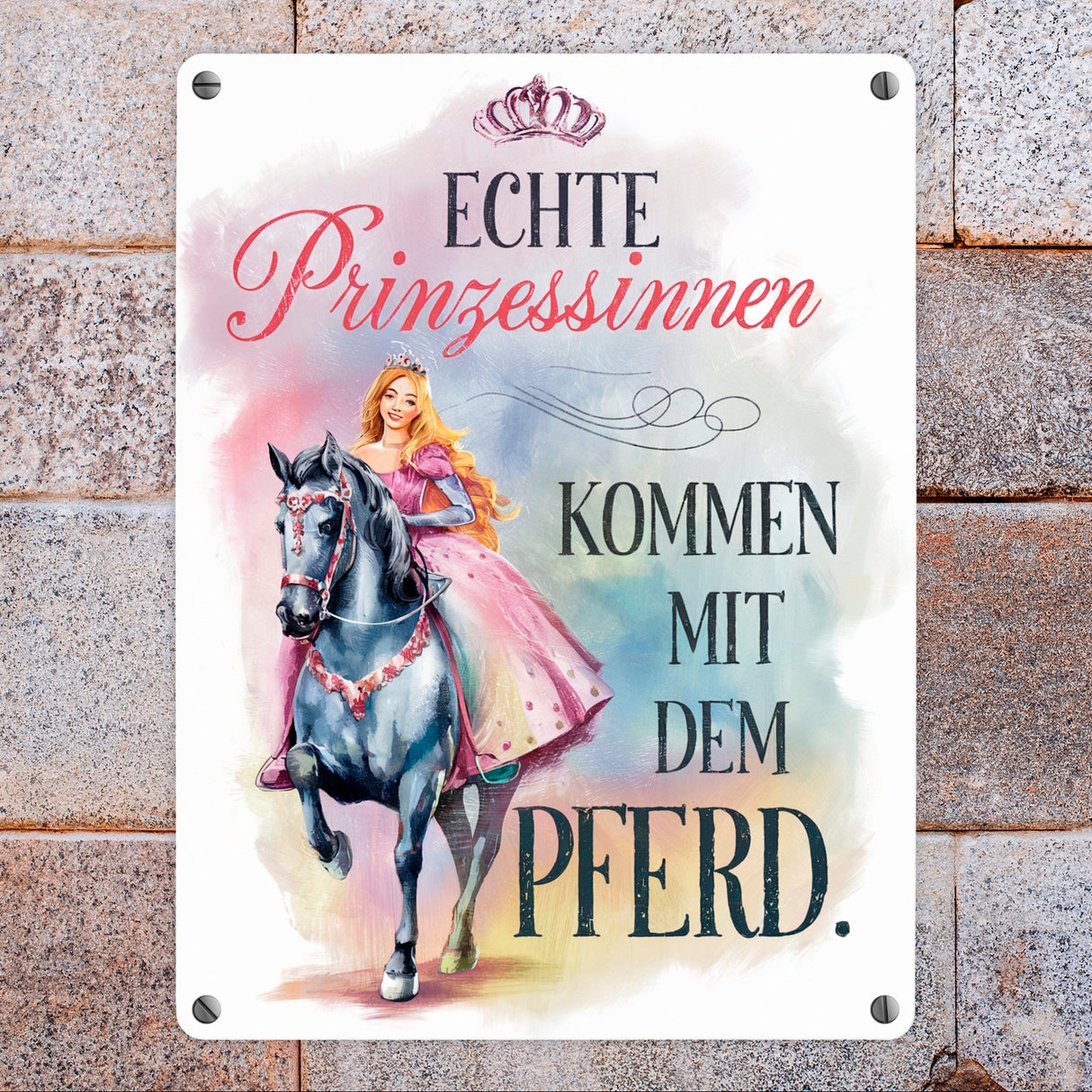 Echte Prinzessinnen reiten Pferde Metallschild in 15x20 cm