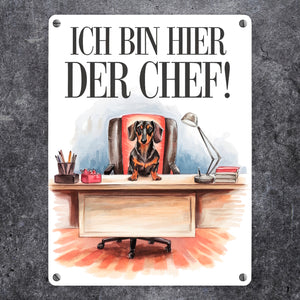 Hier ist der Dackel der Chef Metallschild in 15x20 cm - Dackel auf Bürostuhl