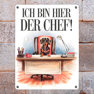 Hier ist der Dackel der Chef Metallschild in 15x20 cm - Dackel auf Bürostuhl