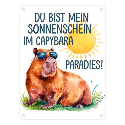 Capybara mit Sonnenbrille Metallschild in 15x20 cm Mein Sonnenschein