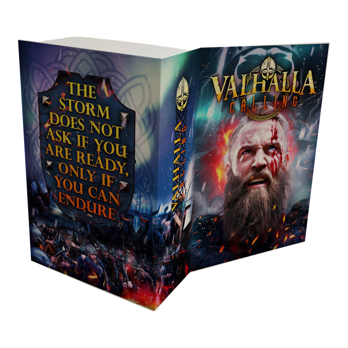 Wikinger Booksafe - Valhalla Calling