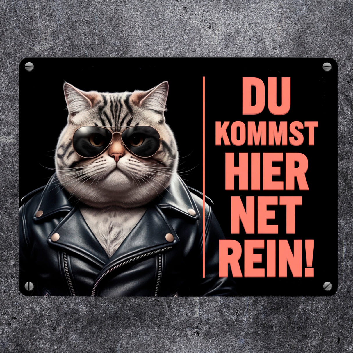 Türsteher Kater Metallschild in 15x20 cm - Du Kommst Hier Net Rein