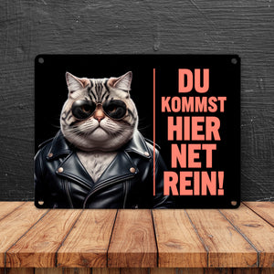 Türsteher Kater Metallschild in 15x20 cm - Du Kommst Hier Net Rein