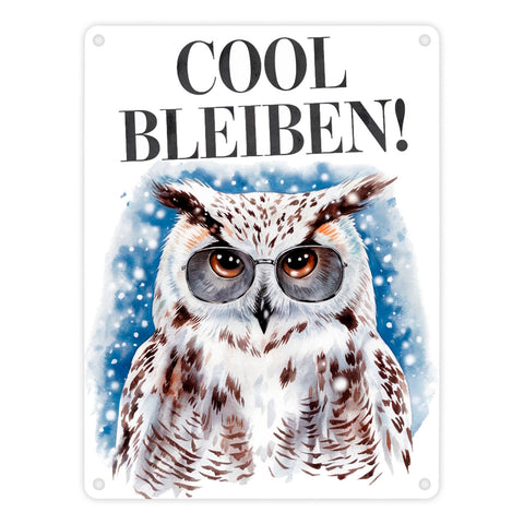Schneeeule mit Sonnenbrille Cool bleiben Metallschild in 15x20 cm