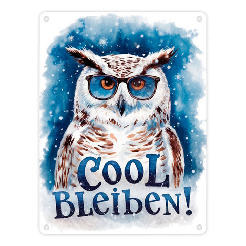 Cool bleiben Metallschild in 15x20 cm Schneeeule mit Sonnenbrille