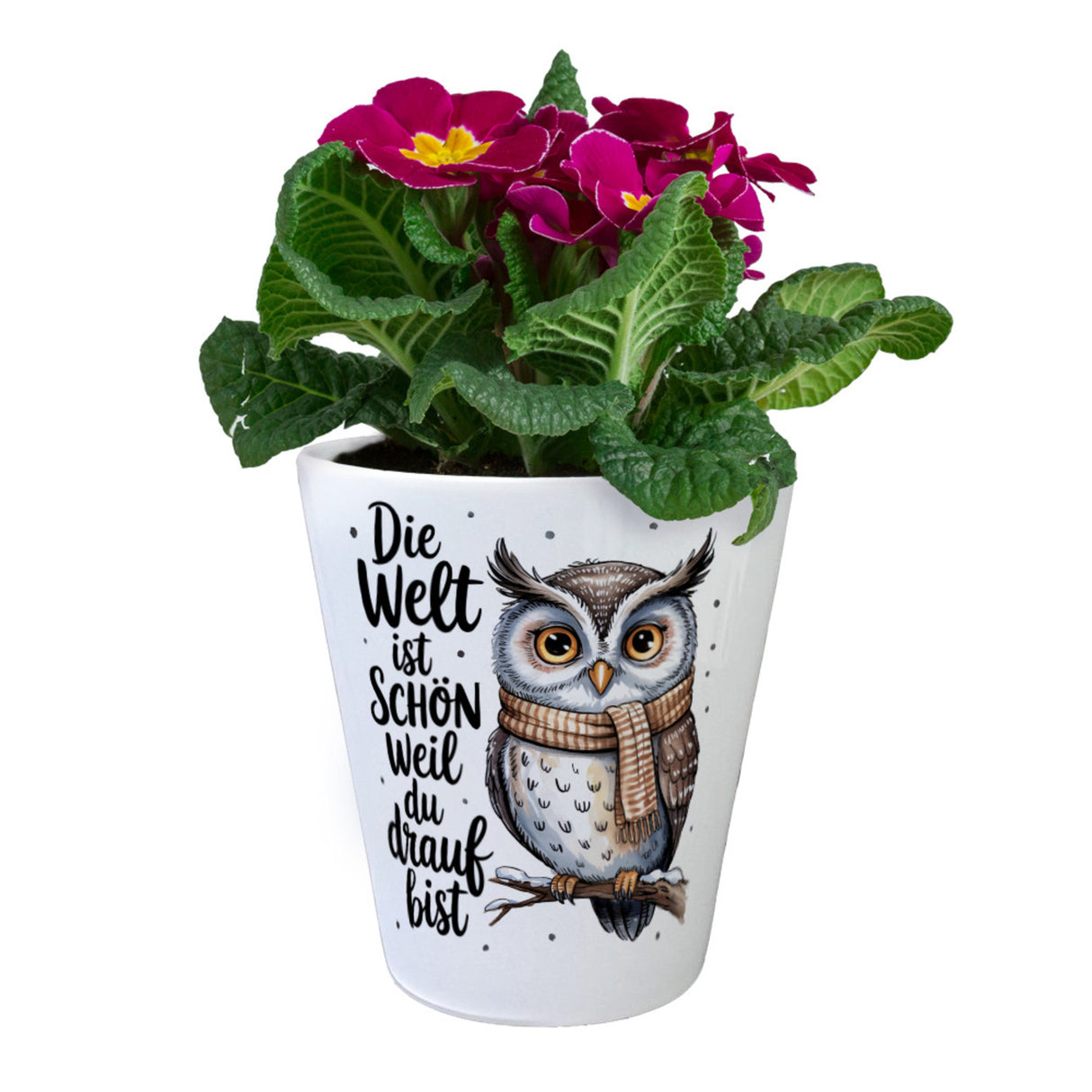 Eule mit Schal Blumentopf Die Welt ist schön
