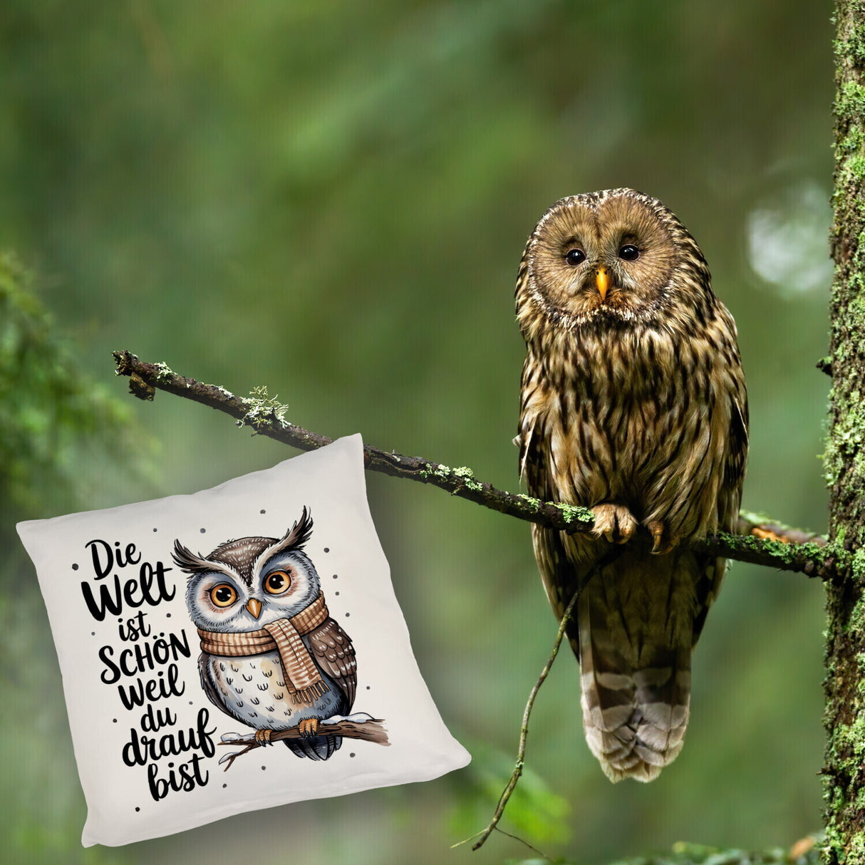 Eule mit Spruch Kissen für Eulenliebhaber