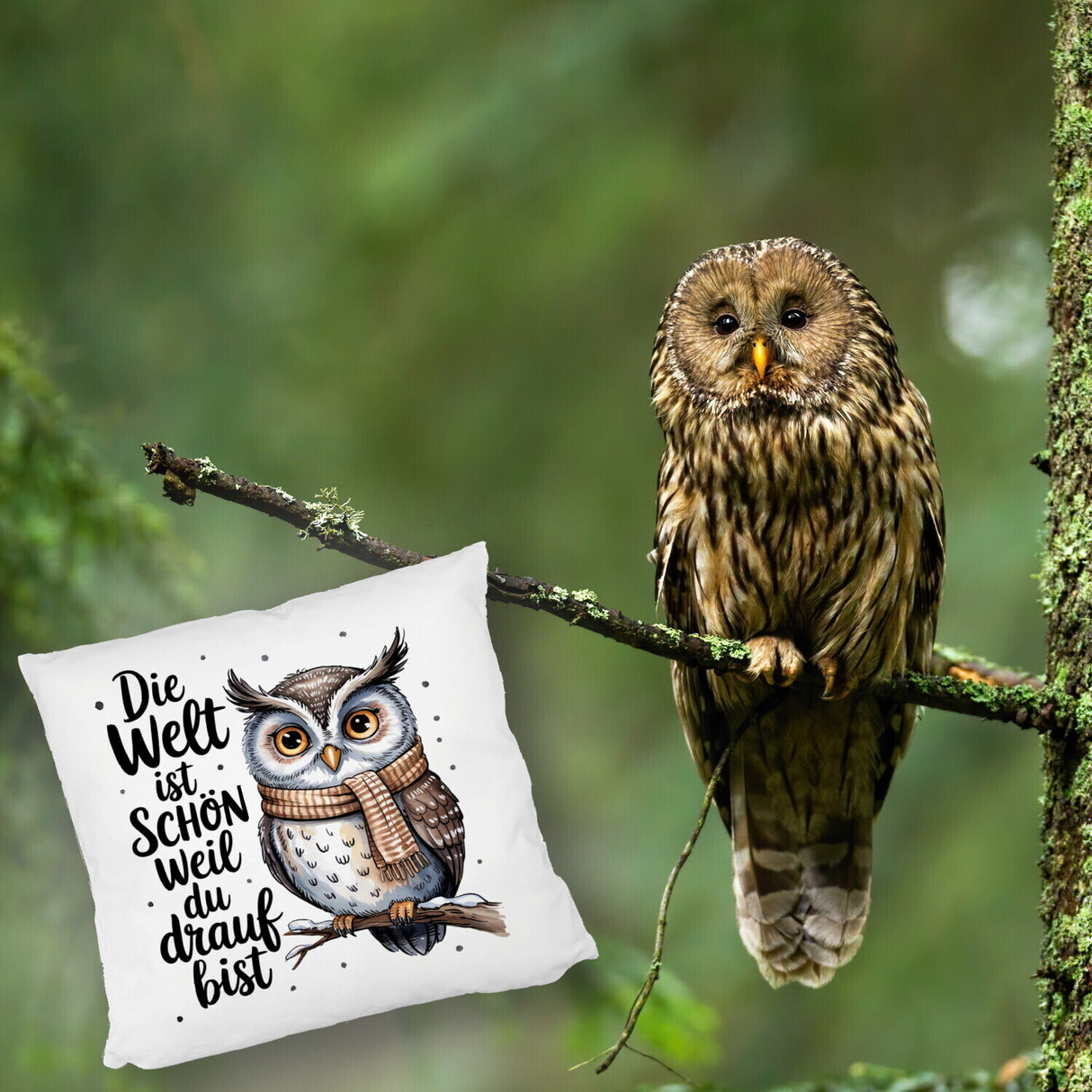 Eule mit Spruch Kissen für Eulenliebhaber