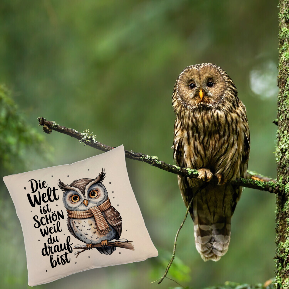 Eule mit Spruch Kissen für Eulenliebhaber