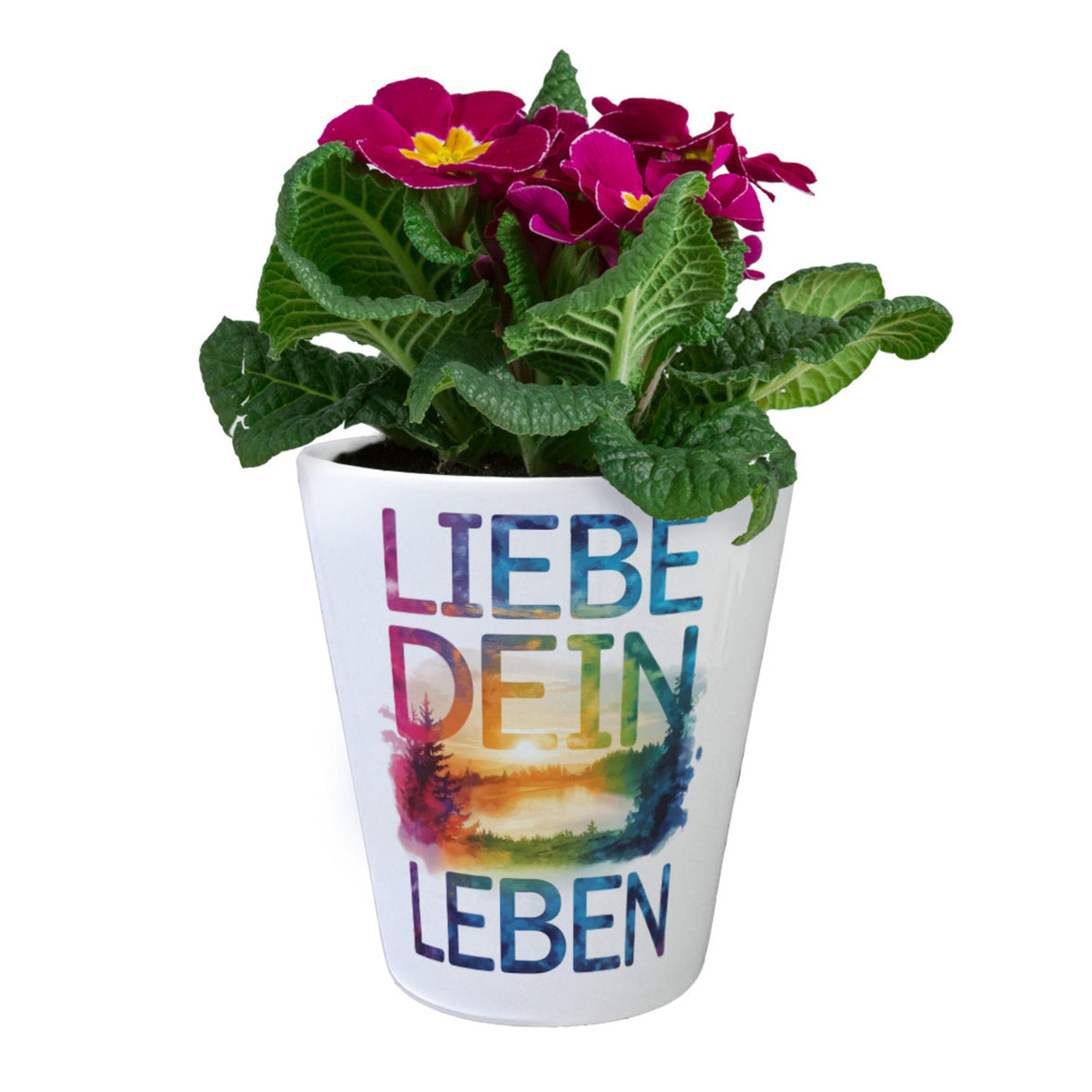 Liebe dein Leben Blumentopf Aquarell Design