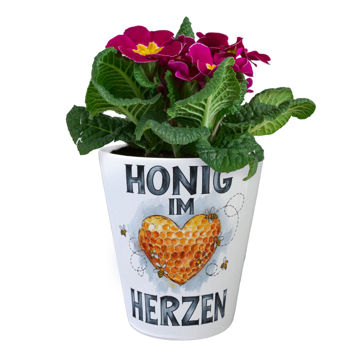 Honig im Herzen Blumentopf Herz Honigwaben