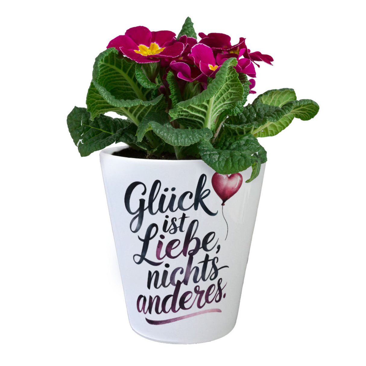 Glück ist Liebe Blumentopf Herz Luftballon