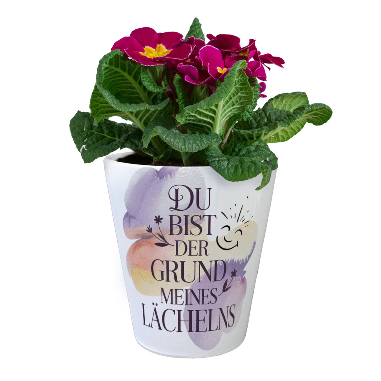 Grund meines Lächelns Blumentopf Blumen Aquarell
