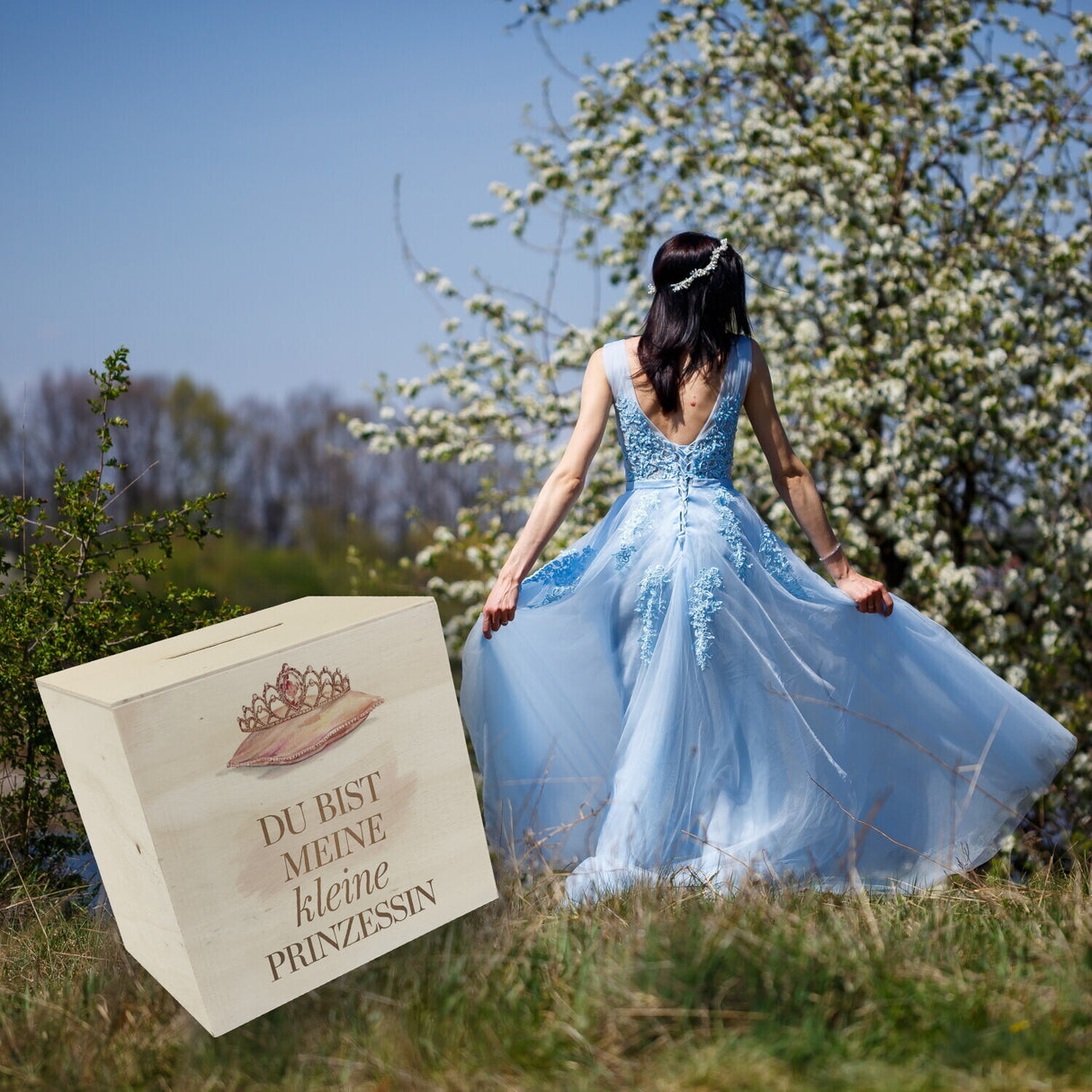 Meine kleine Prinzessin Spardose Tiara auf Kissen