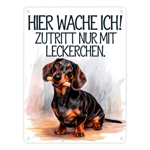 Zutritt nur mit Leckerchen Metallschild in 15x20 cm Dackel