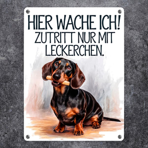 Zutritt nur mit Leckerchen Metallschild in 15x20 cm Dackel