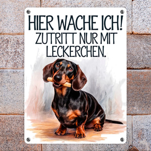 Zutritt nur mit Leckerchen Metallschild in 15x20 cm Dackel