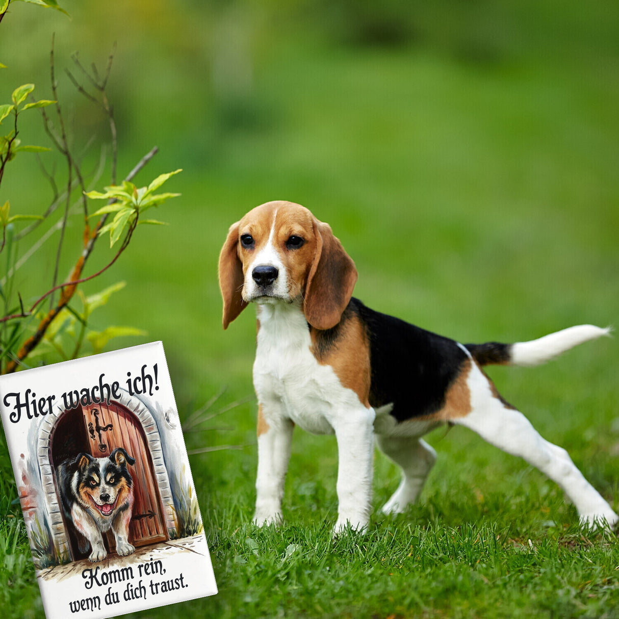 Hund bewacht Tür Hier wache ich Souvenir Souvenir Magnet