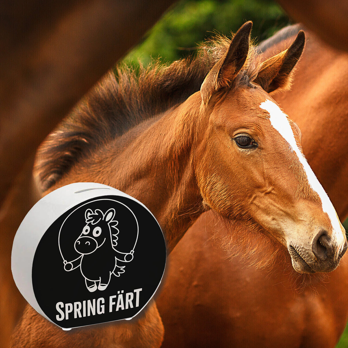 Spring Färt Spardose Pferd mt Springseil Cartoon