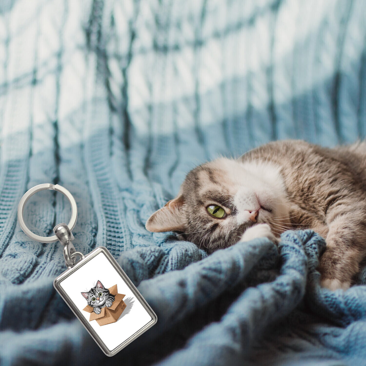 Katze im Karton Schlüsselanhänger für Katzenfans