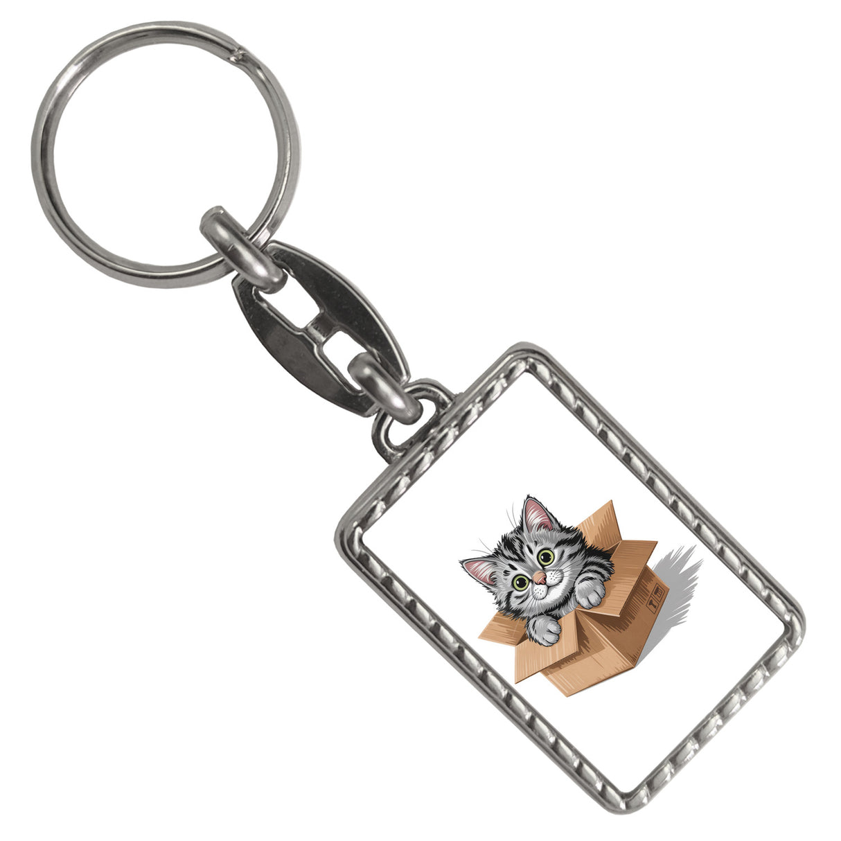 Katze im Karton Schlüsselanhänger für Katzenfans