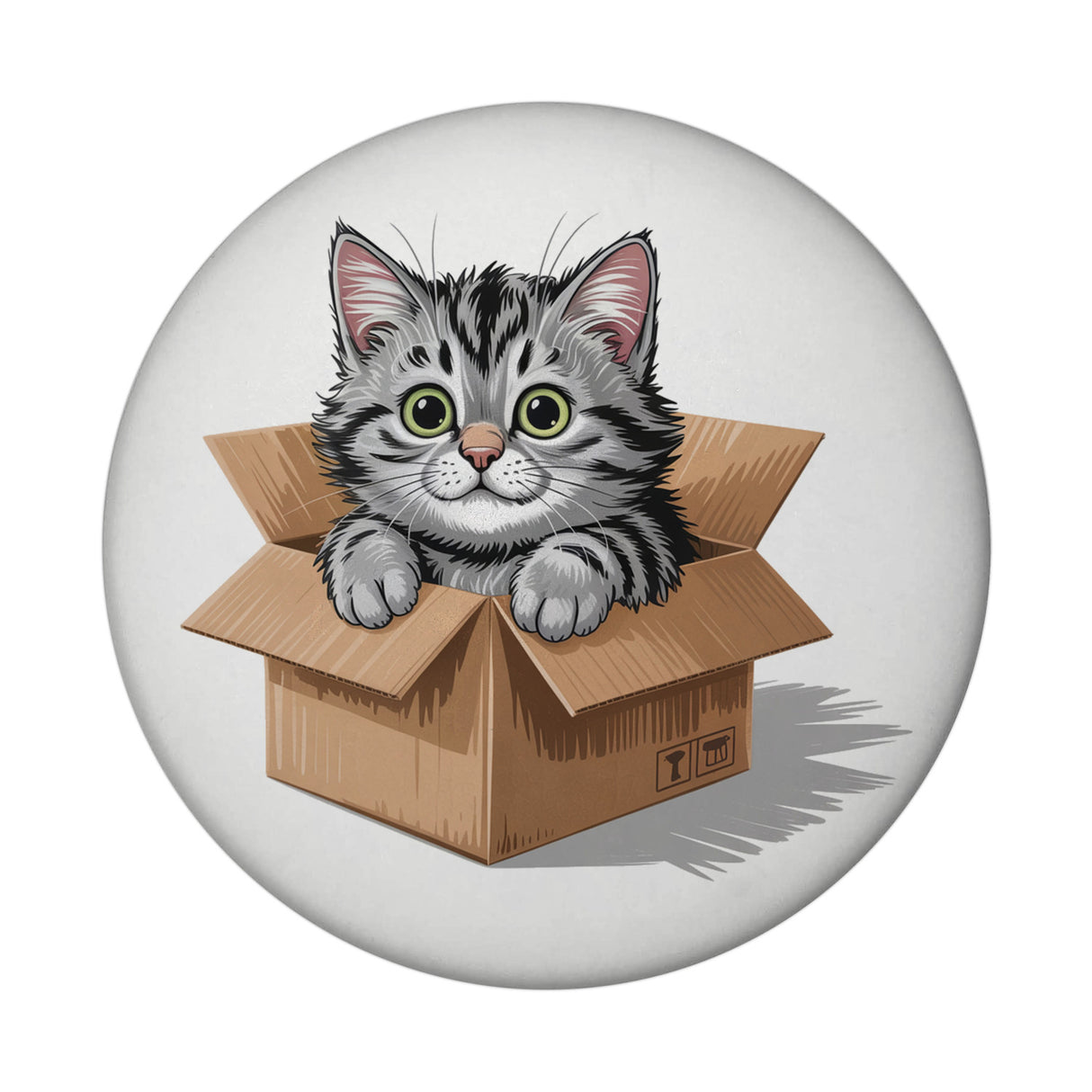 Katze im Karton Magnet für Katzenfans